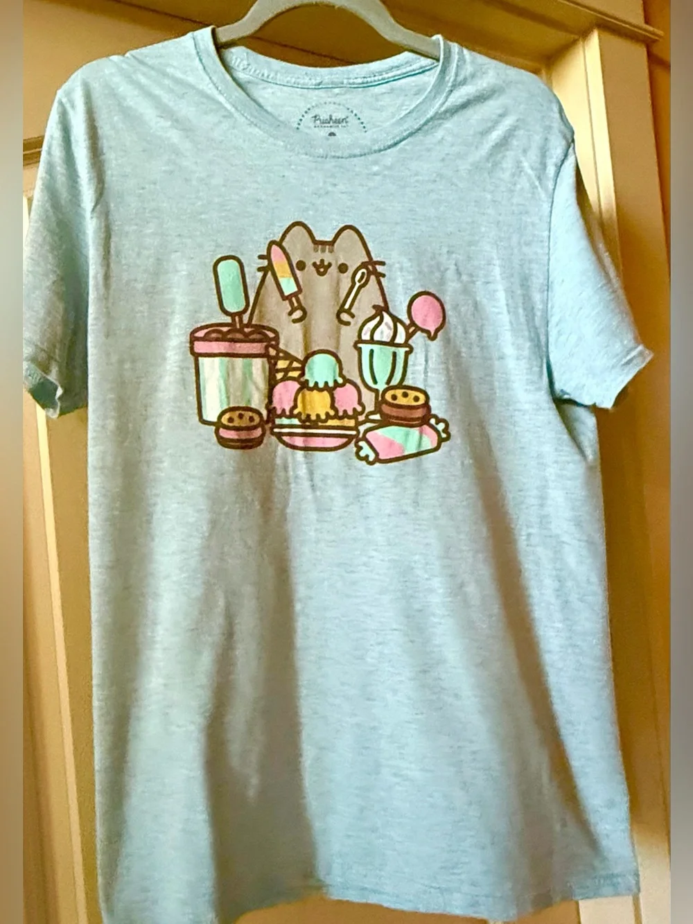 Pusheen Cat Light Blue T-Shirt Top Sz L Pastel Treats Graphic